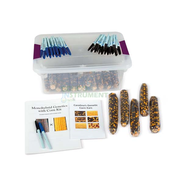 Investigating and Applying Genetics: Corn Kit